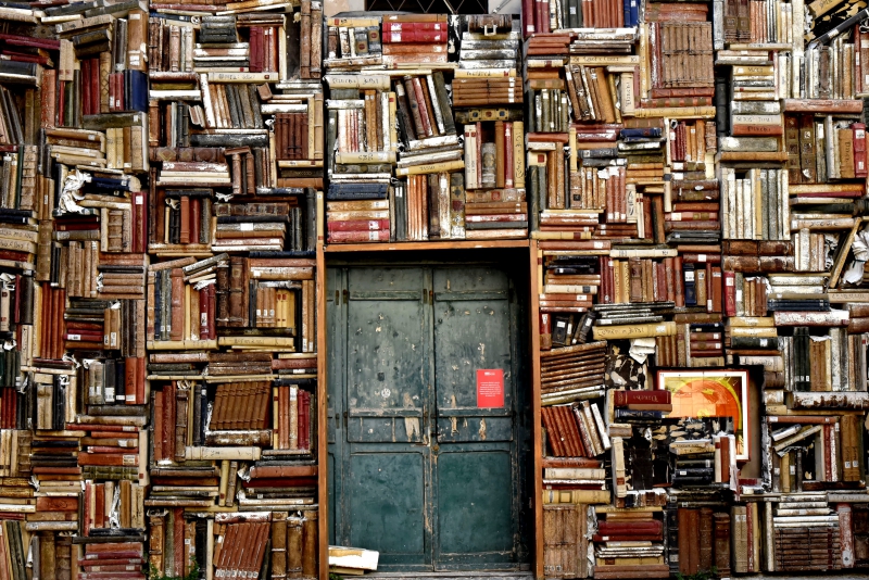 librairie-BIOT-min_books-1655783